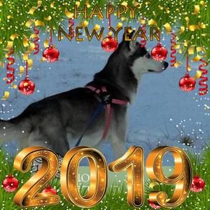 Meet your Posher, Karyn